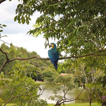 Pousada Fazenda Buracao Мокока Екстериор снимка