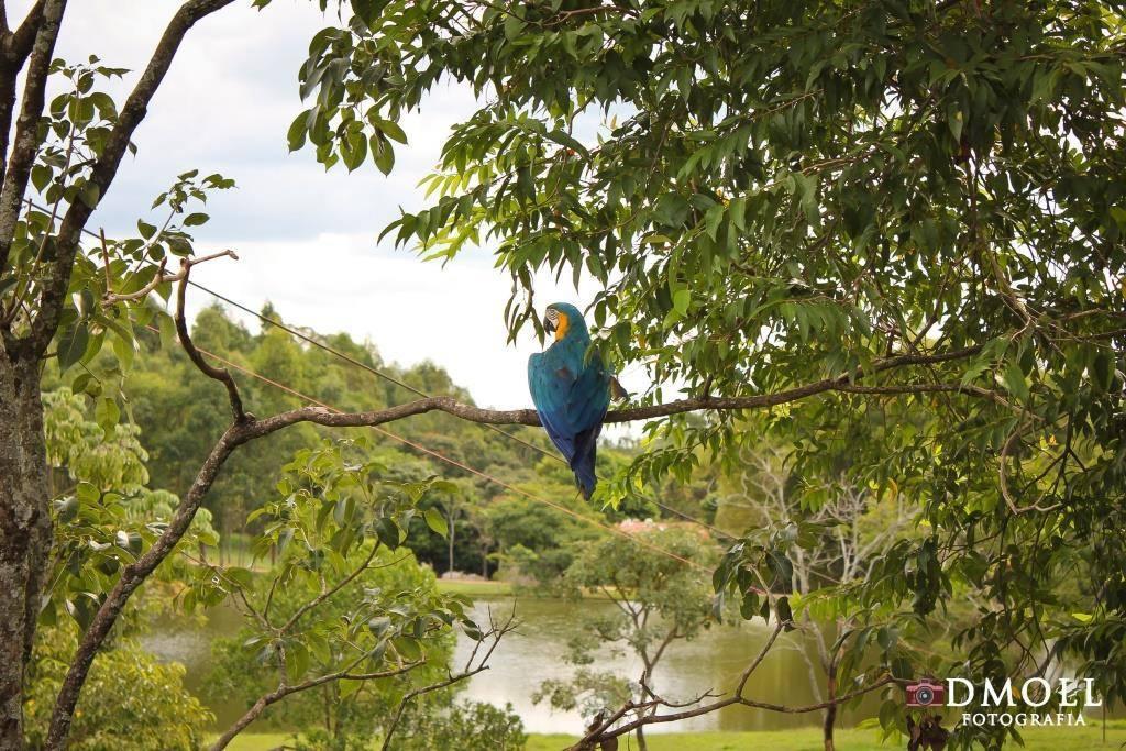 Pousada Fazenda Buracao Мокока Екстериор снимка